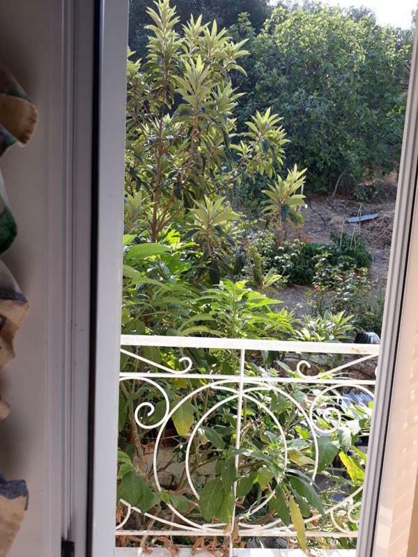 Villa Victoria Corfu Ágios Matthaíos Bagian luar foto